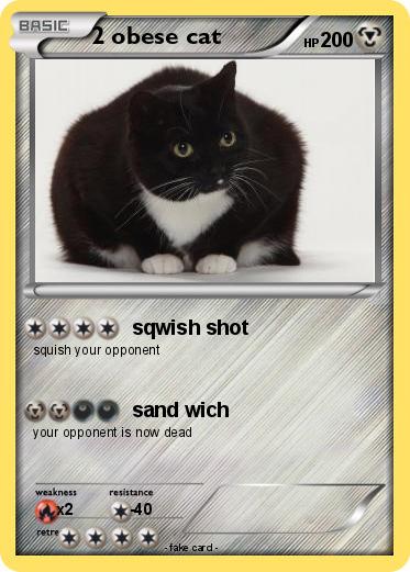 Pokemon 2 obese cat