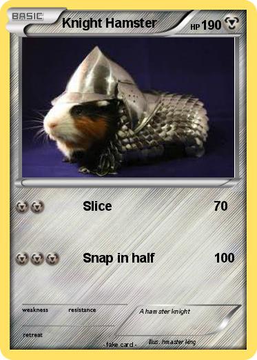 Pokemon Knight Hamster