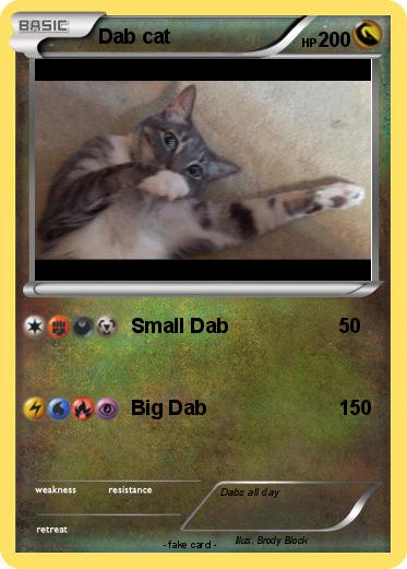 Pokemon Dab cat