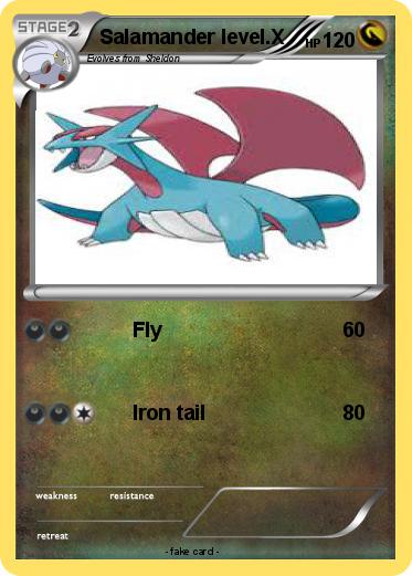 Pokemon Salamander level.X