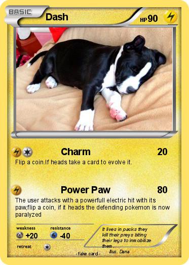 Pokemon Dash