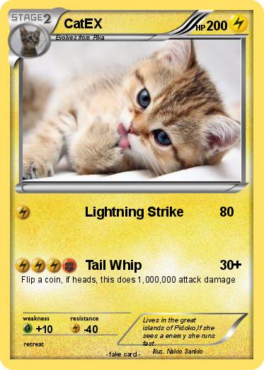 Pokemon CatEX
