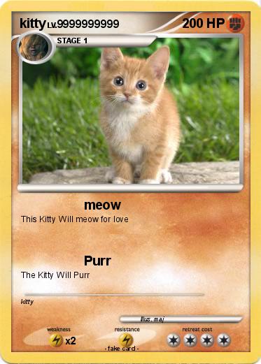 Pokemon kitty