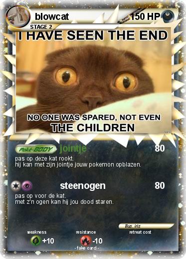 Pokemon blowcat