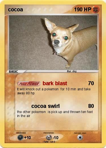 Pokemon cocoa
