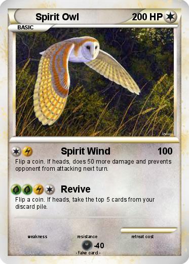 Pokemon Spirit Owl