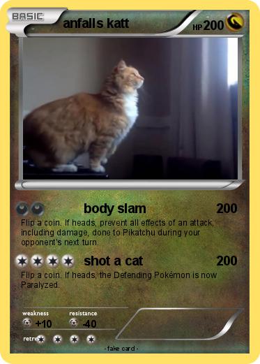 Pokemon anfalls katt