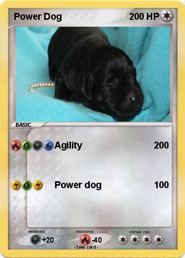 Pokemon Power Dog