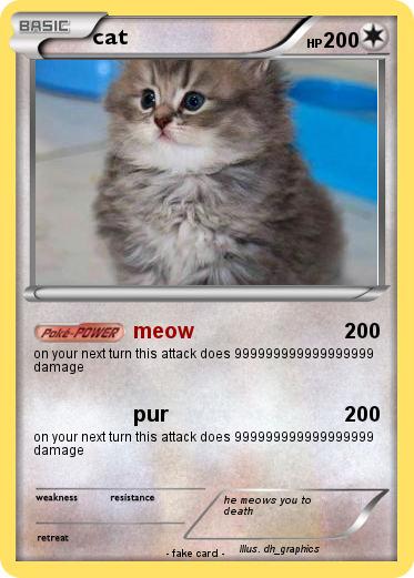 Pokemon cat