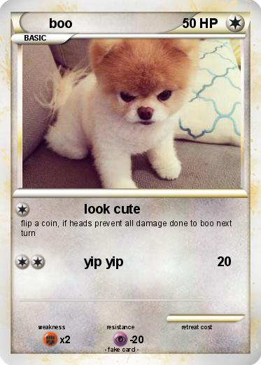 Pokemon boo