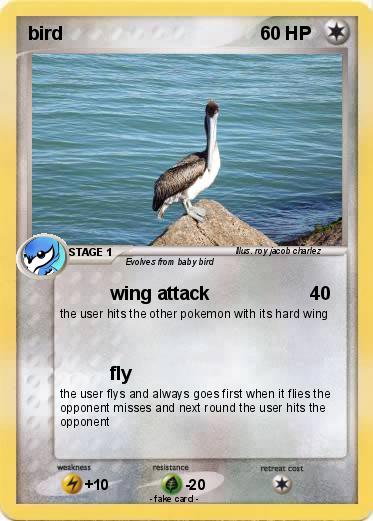 Pokemon bird