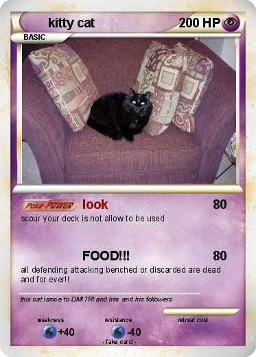 Pokemon kitty cat