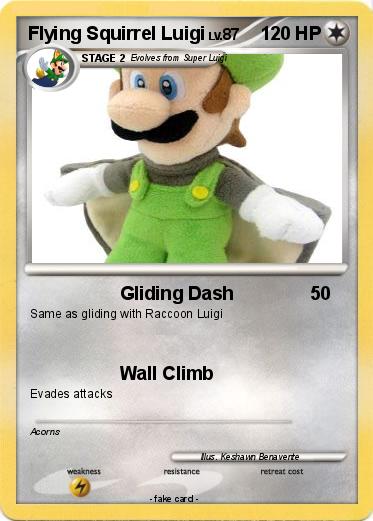 Pokemon Flying Squirrel Luigi