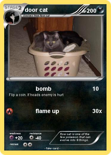 Pokemon door cat