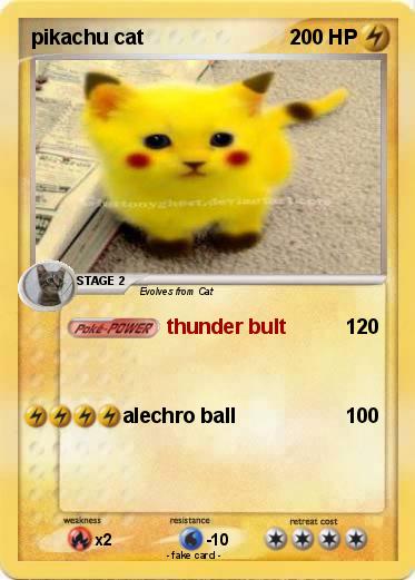 Pokemon pikachu cat