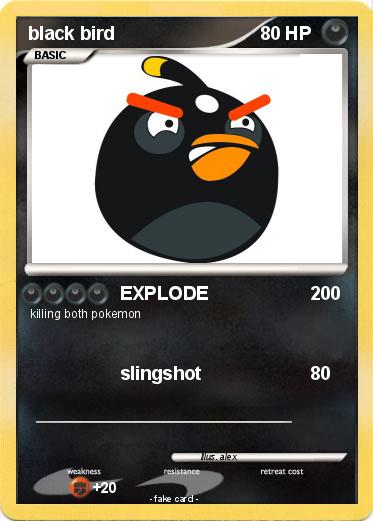 Pokemon black bird