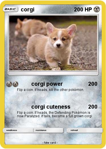 Pokemon corgi