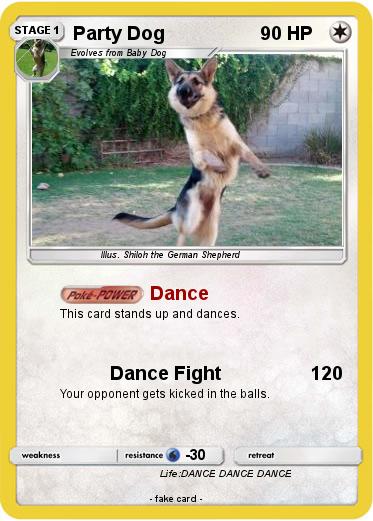 Pokemon Party Dog