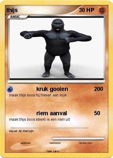 Pokemon thijs