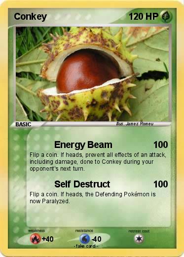 Pokemon Conkey