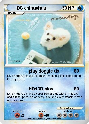 Pokemon DS chihuahua