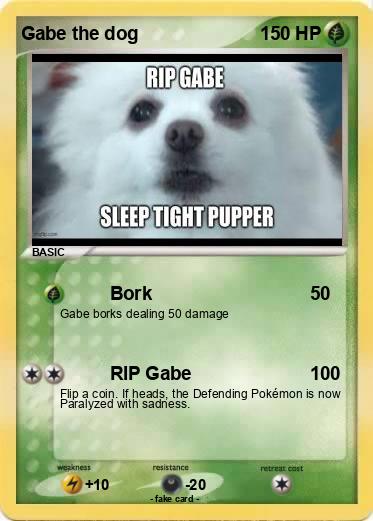 Pokemon Gabe the dog