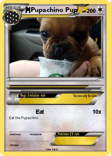 Pokemon Pupachino Pup