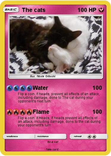 Pokemon The cats