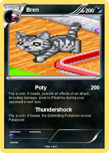 Pokemon Bren