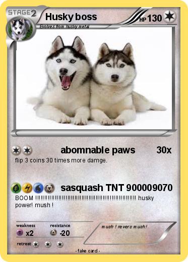 Pokemon Husky boss