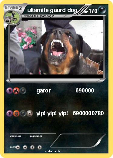 Pokemon ultamite gaurd dog