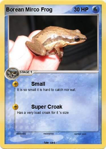 Pokemon Borean Mirco Frog