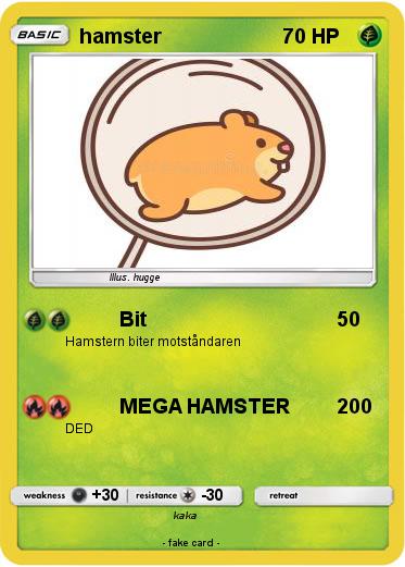Pokemon hamster