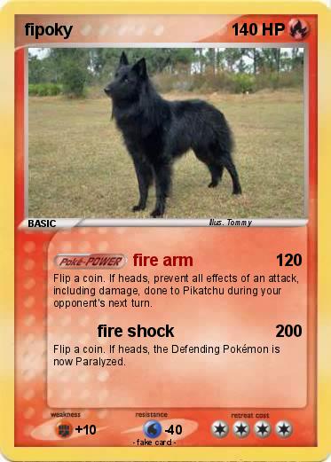 Pokemon fipoky