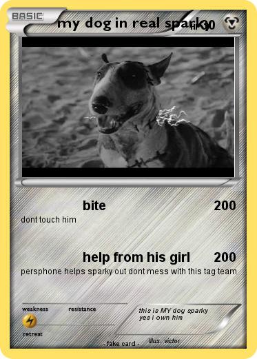 Pokemon my dog in real sparky