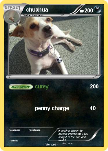 Pokemon chuahua
