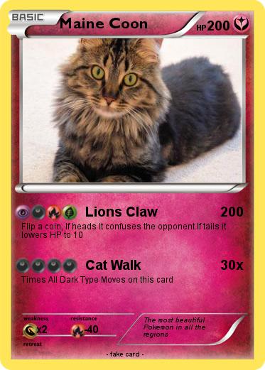 Pokemon Maine Coon