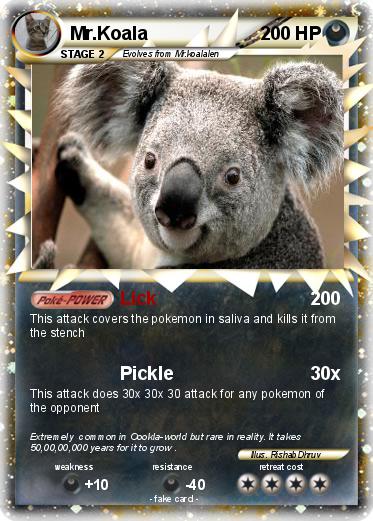 Pokemon Mr.Koala