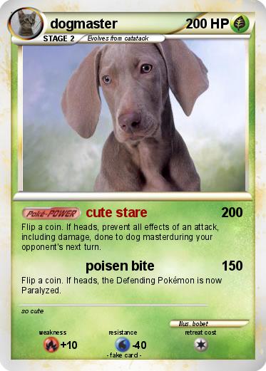 Pokemon dogmaster
