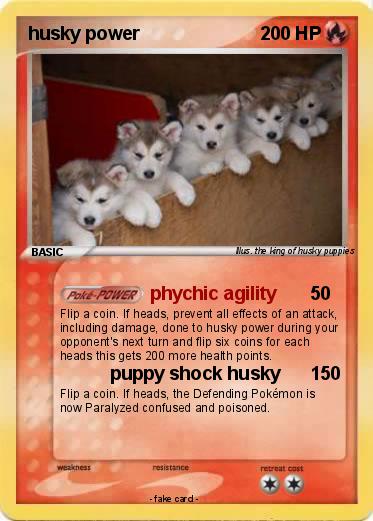 Pokemon husky power