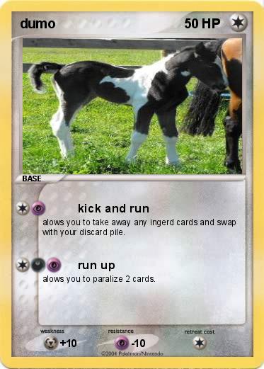 Pokemon dumo