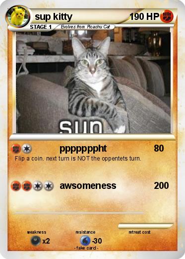 Pokemon sup kitty