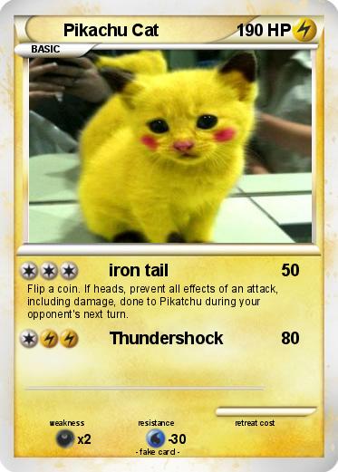 Pokemon Pikachu Cat