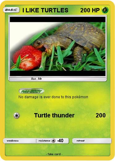 Pokemon I LIKE TURTLES