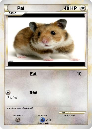 Pokemon Pat