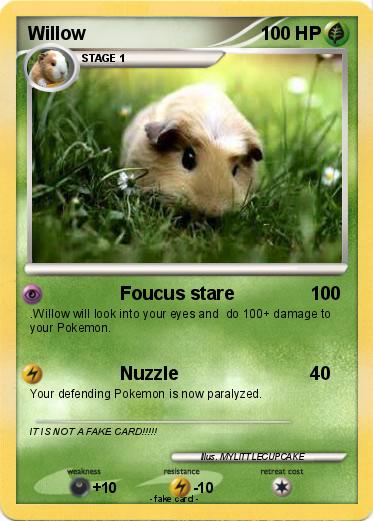 Pokemon Willow