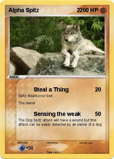 Pokemon Alpha Spitz                        2