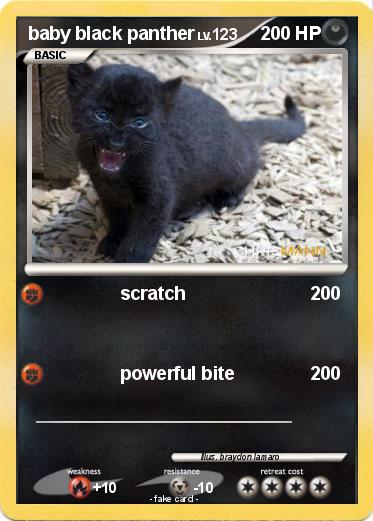 Pokemon baby black panther