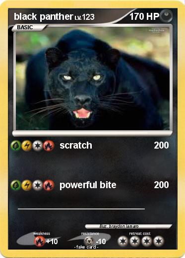 Pokemon black panther