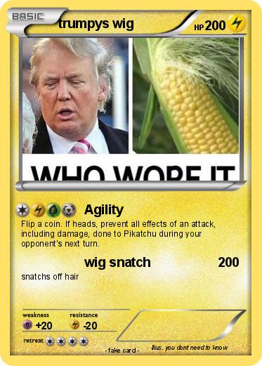 Pokemon trumpys wig